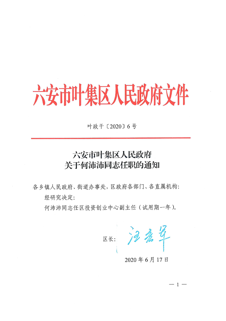 六安市叶集区人民政府关于何沛沛同志任职的通知 六安市叶集区人民政府