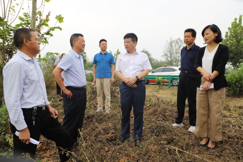 图片新闻_六安市叶集区人民政府