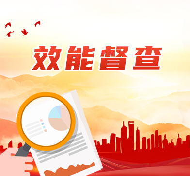 关于全区学校和政务服务大厅疫情防控工作的现场督查情况