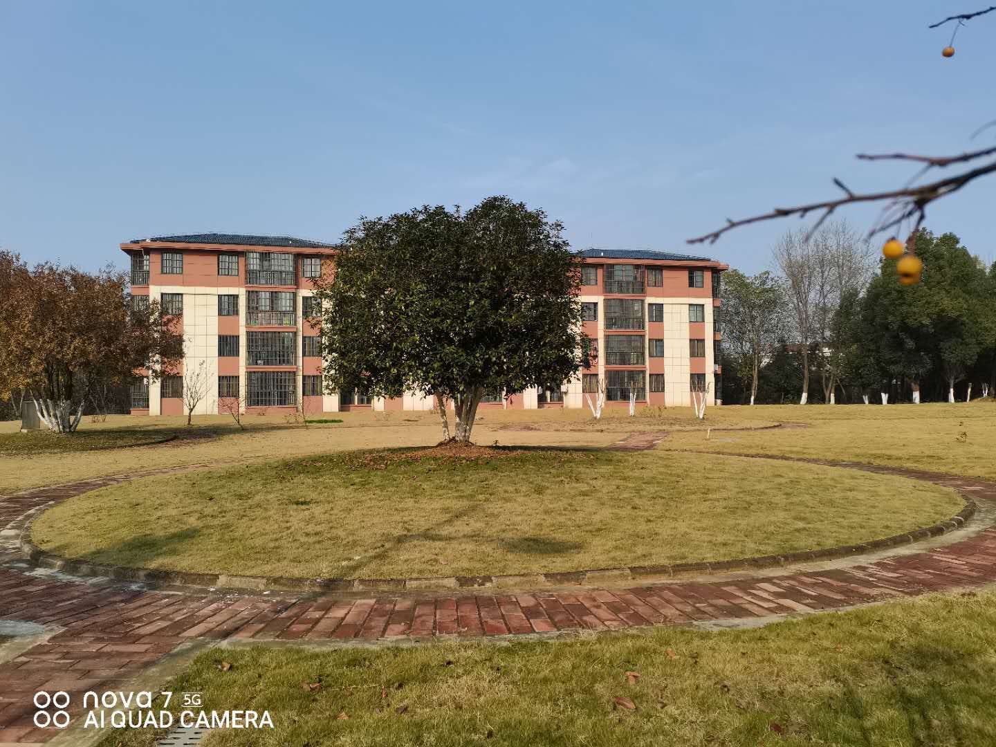 姚李镇镇区绿化情况_六安市叶集区人民政府