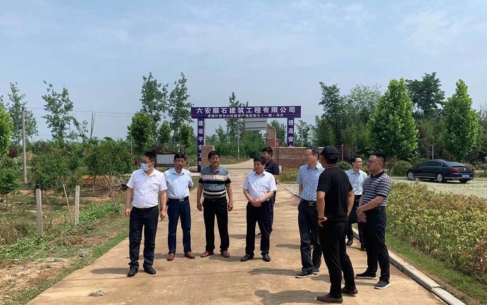 车照启到叶集区督导调研党史学习教育并开展"四进四促"和接访工作