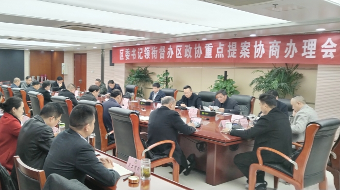 赵珞出席区委书记领衔督办区政协重点提案协商办理会