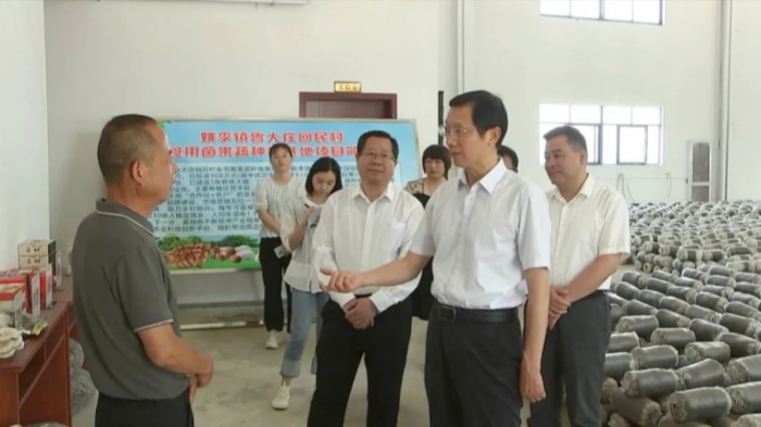 市委书记方正来叶集区调研