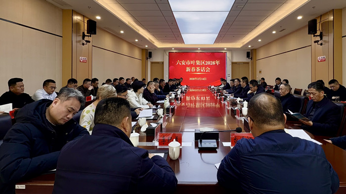 我区召开2026年新春茶话会