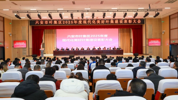 我区召开2025年度现代化美好叶集建设表彰大会