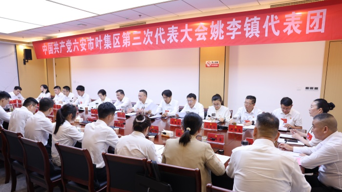 郑武军参加姚李代表团、史河街道代表团审议区委报告、区纪委工作报告