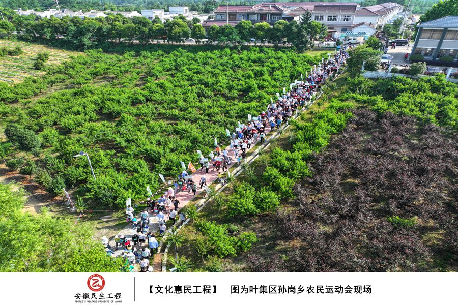 【图绘民生】叶集区孙岗乡文化惠民工程图集