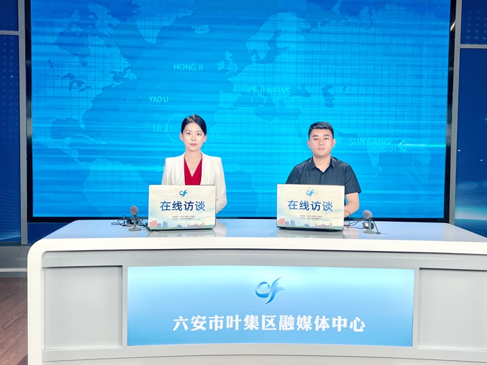 2024年第三期在线访谈：《六安市叶集区招商引资相关政策解读》解读