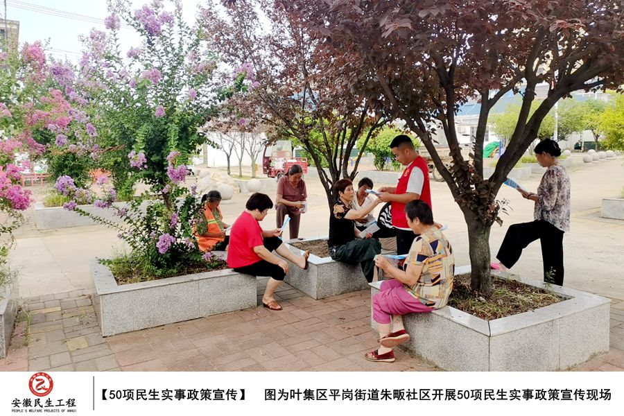 【图绘民生】叶集区平岗街道50项民生实事宣传图集