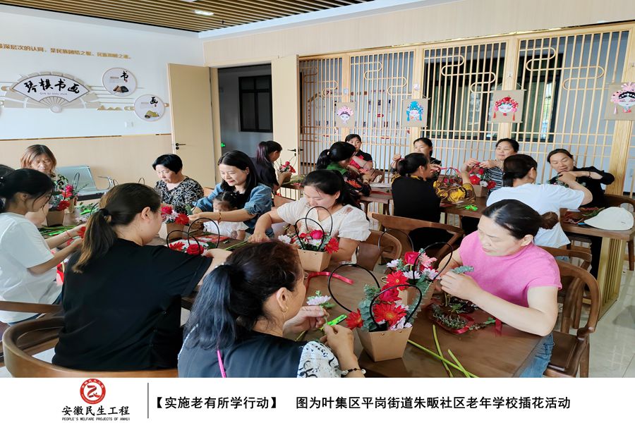 【图绘民生】叶集区平岗街道民生工程实施图集